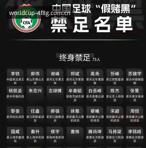 足协第三批禁足名单解读教程：从4F8G平台实时了解行业整顿动态